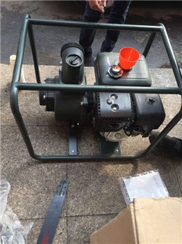 华伟QD100-28汽油机水泵