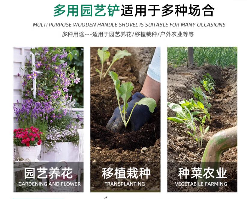 QQ截图20240418134157.jpg